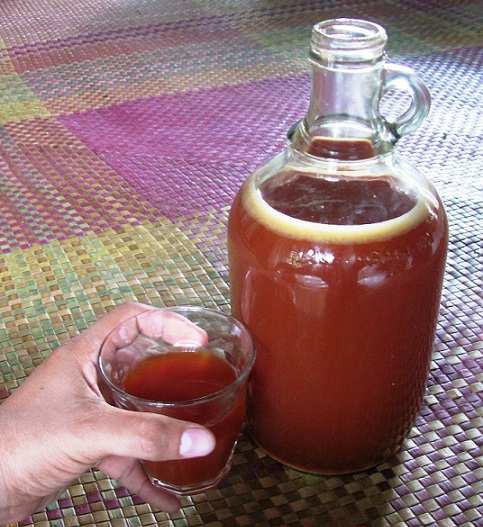 Vin de coco Tubâ, brun car fermenté avec du tungog, l'écorce séchée de Ceriops tagal. Philippines